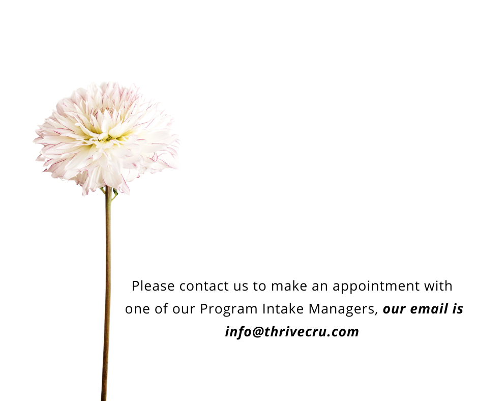 Please contact us to make an appointment with a Program Intake Manager